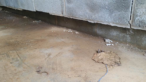 Basement waterproofing York PA